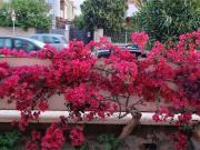 Appartamento in affitto di 60 m² in Via Roma Appartamento in affitto di 60 m² in Via Roma