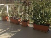 Appartamento in affitto di 65 m² in Via Carlo Perini
