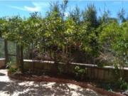 Appartamento in affitto di 65 m² in Via Lombardia