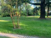 Appartamento in affitto di 70 m² in Via Terraglio, 84