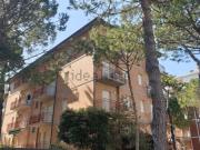 Appartamento in affitto di 70 m² in Traversa V Pineta, 12
