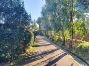 Appartamento in affitto di 70 m² in Viale Colli Aminei