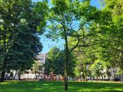 Appartamento in affitto di 80 m² in Corso Ventidue Marzo