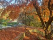 Appartamento in affitto di 80 m² in Strada del Righino, 2