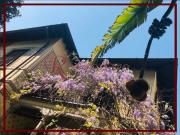 Appartamento in affitto di 90 m² in Via Timavo