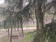 Appartamento in affitto di 91 m² in Via Emilio Salgari