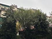 Appartamento in affitto di 95 m² in Via Francesco...