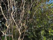 Appartamento in affitto di 95 m² in Via San Martino