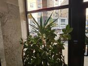 Appartamento in Affitto Mantova 40601001 110 | RE/MAX Italia