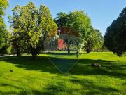 Appartamento in Affitto Modena 45331010 3 | RE/MAX Italia