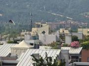 Appartamento in in affitto da privato a Bologna via...
