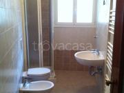 Appartamento in in affitto da privato a Bologna via...