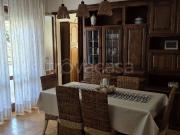 Appartamento in in affitto da privato a Camaiore via...