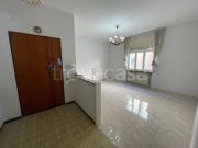 Appartamento in in affitto da privato a Casagiove via...