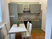 Appartamento in in affitto da privato a Casale...