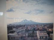 Appartamento in in affitto da privato a Castellammare di...