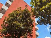 Appartamento in in affitto da privato a Castenaso via...