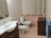 Appartamento in in affitto da privato a Catania via...