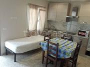 Appartamento in in affitto da privato a Cerveteri via...