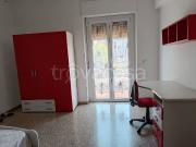 Appartamento in in affitto da privato a Chieti via...