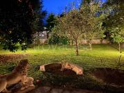 Appartamento in in affitto da privato a Chiusa di Pesio...