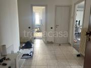 Appartamento in in affitto da privato a Cigliano via...