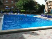 Appartamento in in affitto da privato a Civitavecchia...