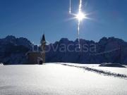Appartamento in in affitto da privato a Danta di Cadore...