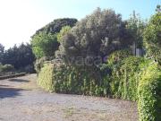 Appartamento in in affitto da privato a Diamante... Appartamento in in affitto da privato a Diamante...