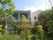 Appartamento in in affitto da privato a Diamante via dei...