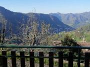 Appartamento in in affitto da privato a Dossena via...