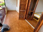 Appartamento in in affitto da privato a Falconara...