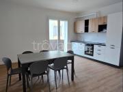 Appartamento in in affitto da privato a Fiesso...