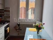 Appartamento in in affitto da privato a Firenze via dei...