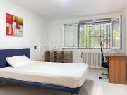 Appartamento in in affitto da privato a Forlì via...