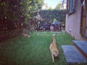 Appartamento in in affitto da privato a Forte dei Marmi...