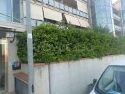 Appartamento in in affitto da privato a Francavilla...