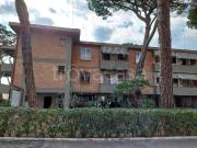 Appartamento in in affitto da privato a Grosseto via...