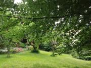 Appartamento in in affitto da privato a Introbio via...