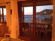 Appartamento in in affitto da privato a Isola del Giglio...