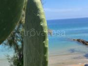 Appartamento in in affitto da privato a Isola di Capo...