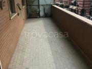 Appartamento in in affitto da privato a Ladispoli via...