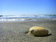 Appartamento in in affitto da privato a Ladispoli via...