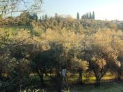 Appartamento in in affitto da privato a Lastra a Signa...