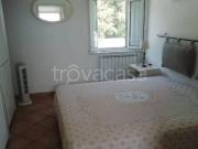 Appartamento in in affitto da privato a Livorno via di...