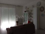 Appartamento in in affitto da privato a Livorno via...