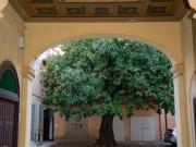 Appartamento in in affitto da privato a Lodi via...