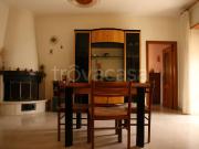 Appartamento in in affitto da privato a Lucera piazza...