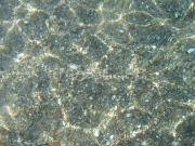 Appartamento in in affitto da privato a Mandatoriccio...