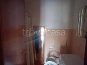 Appartamento in in affitto da privato a Mantova largo di...